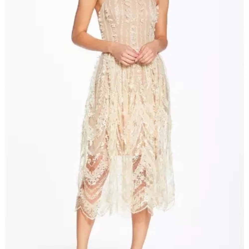 Elegant Cream Lace Midi Dress